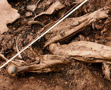 Žrtvovani irski kralj